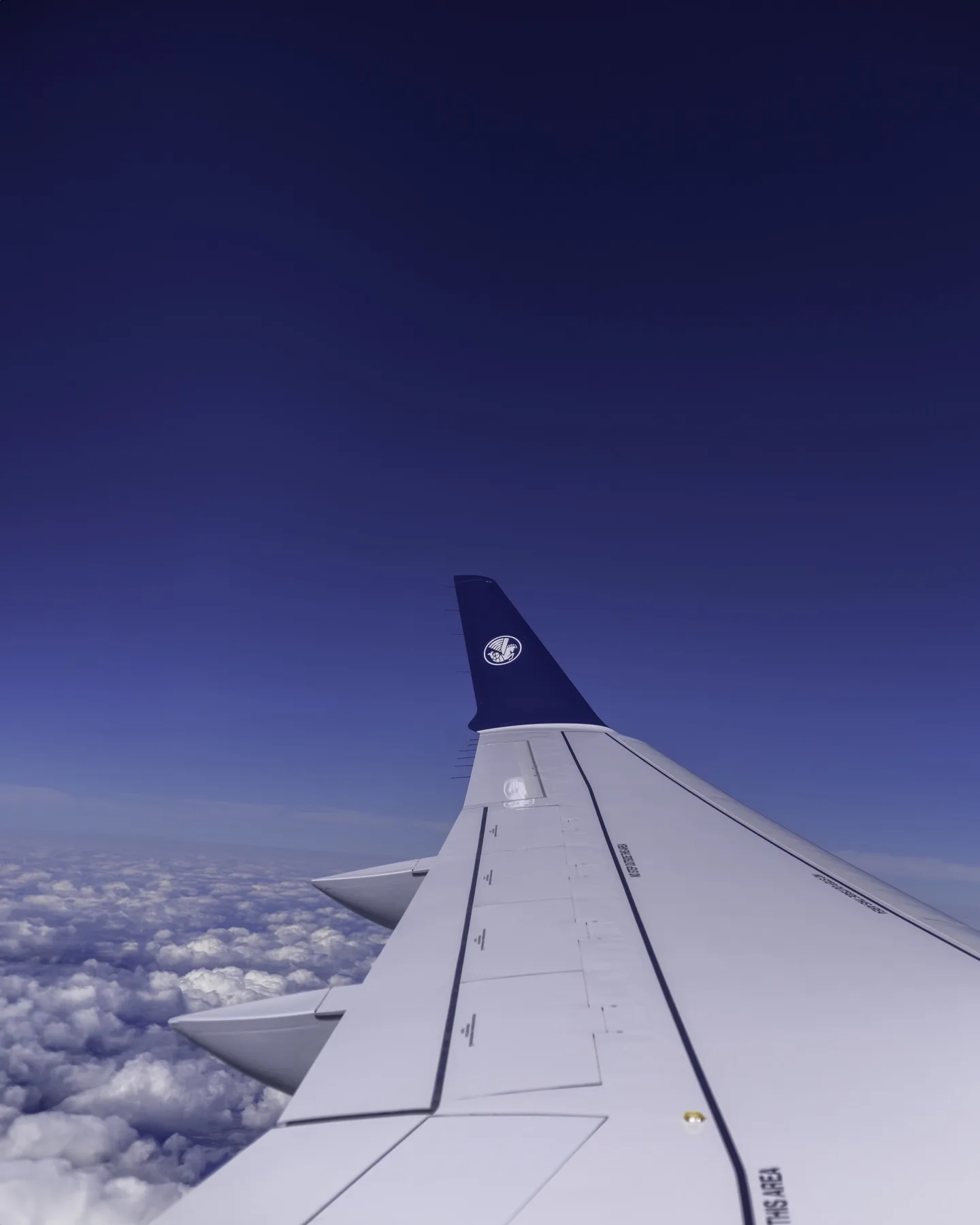 Above the clouds